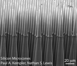 Silicon-Microcones Paul-A-Kempler.jpg