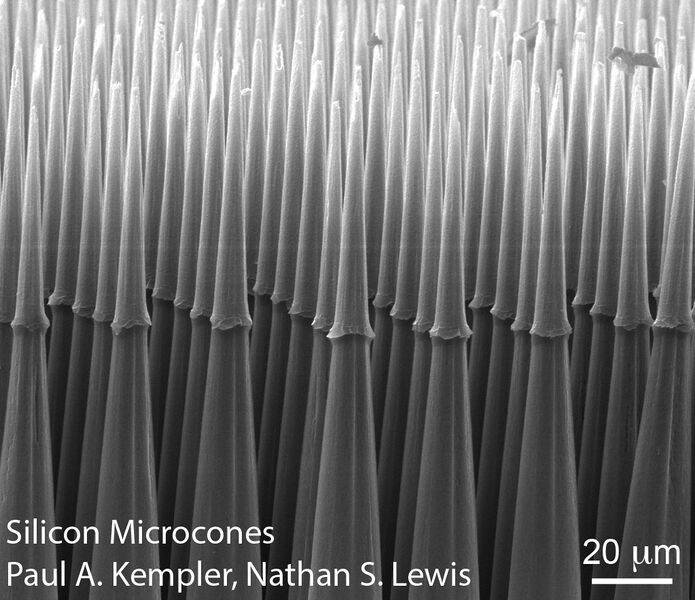 File:Silicon-Microcones Paul-A-Kempler.jpg