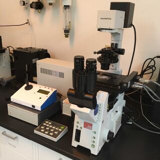 Olympus-IX81-Fluorescence-Microscope.jpg