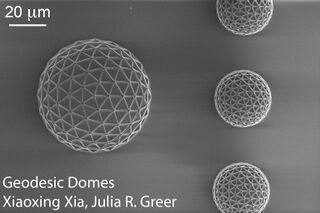 Geodesic-Domes Xiaoxing-Xia.jpg